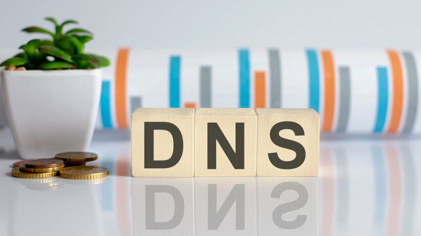 DNS delegation explained - DNS Info Zone